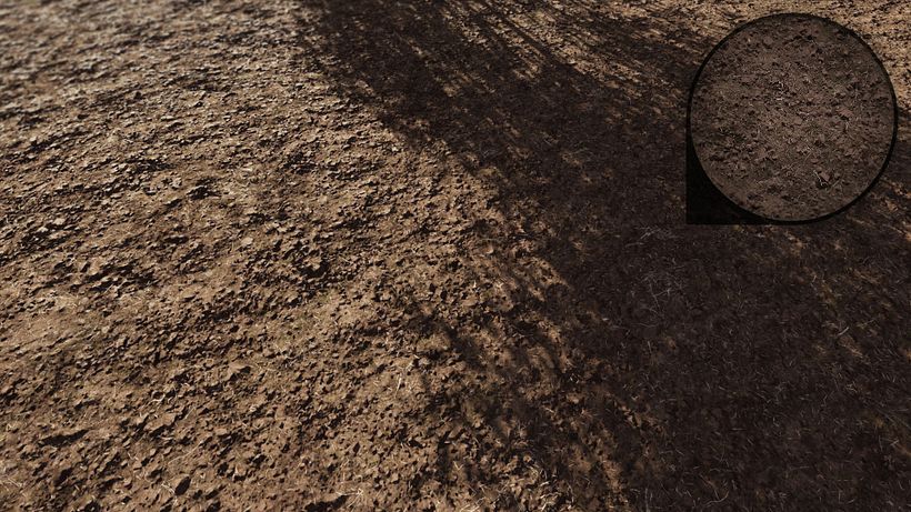 Forza Horizon 3 - Art Dump - Terrain Textures 9