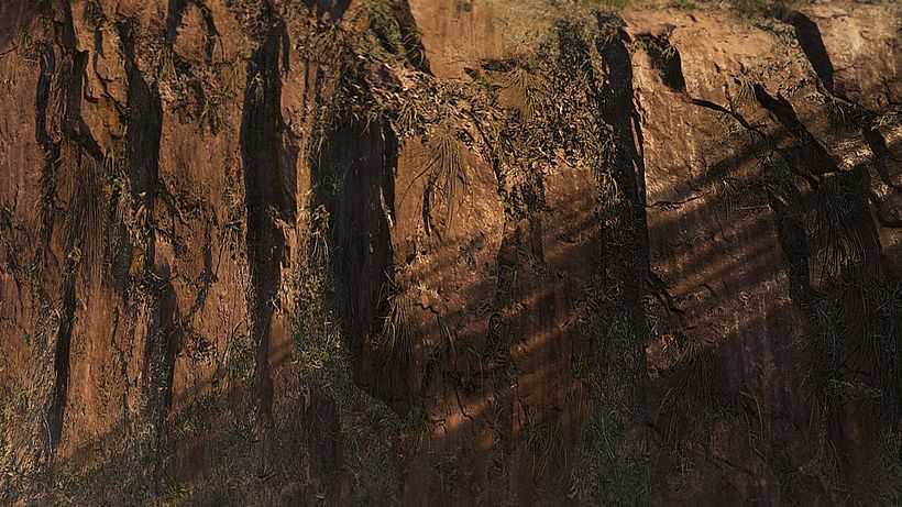 Forza Horizon 3 - Art Dump - Terrain Textures 11