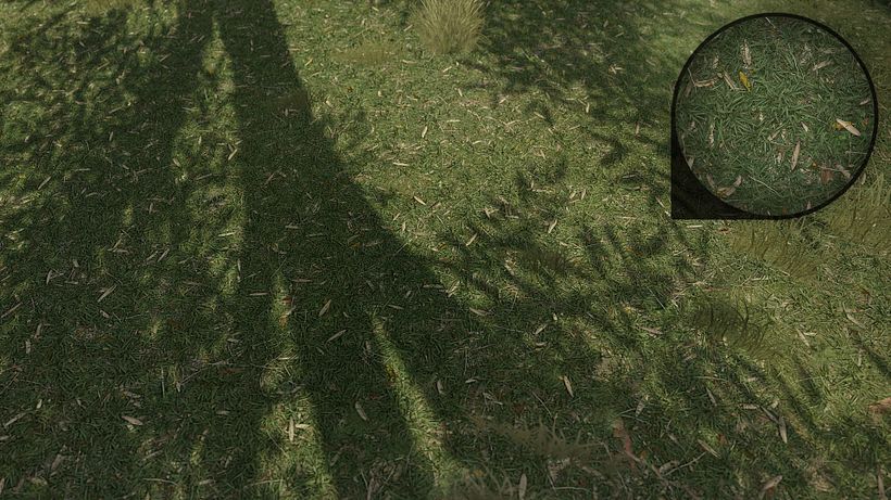Forza Horizon 3 - Art Dump - Terrain Textures 12