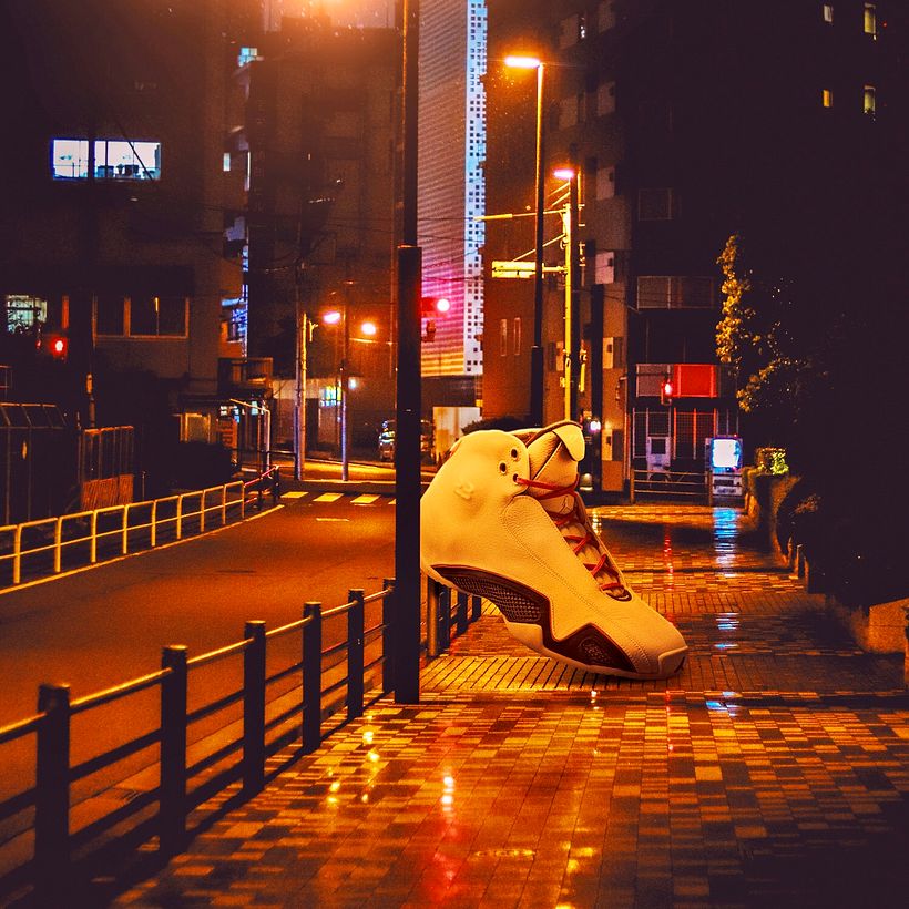 Air Jordan 21