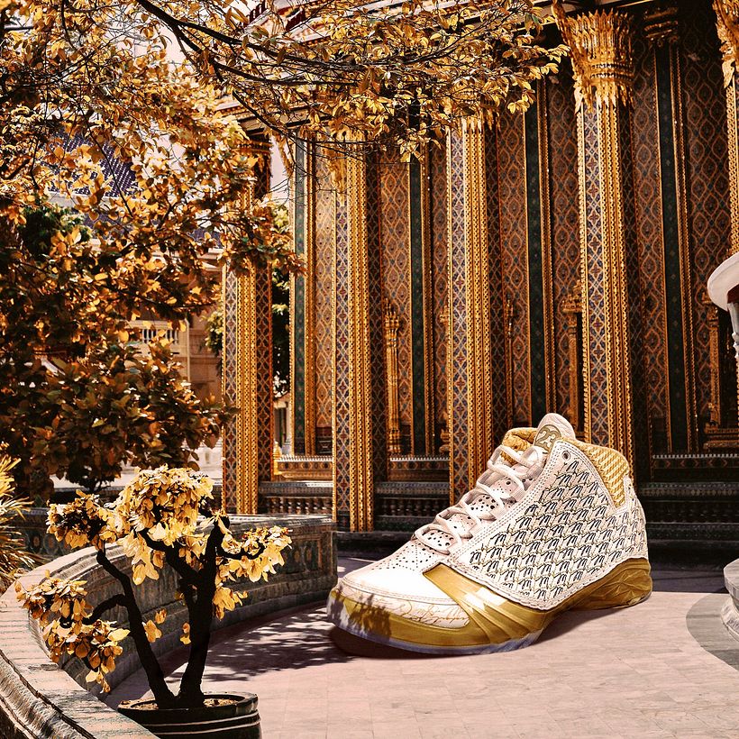 Air Jordan 23