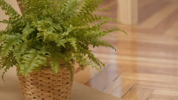 Feng Shui for Your Workspace 7