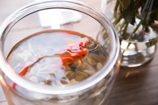 Feng Shui for Your Workspace 11