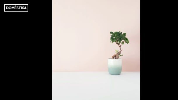 Instagram Tutorial: Photographic Composition for Beginners 11