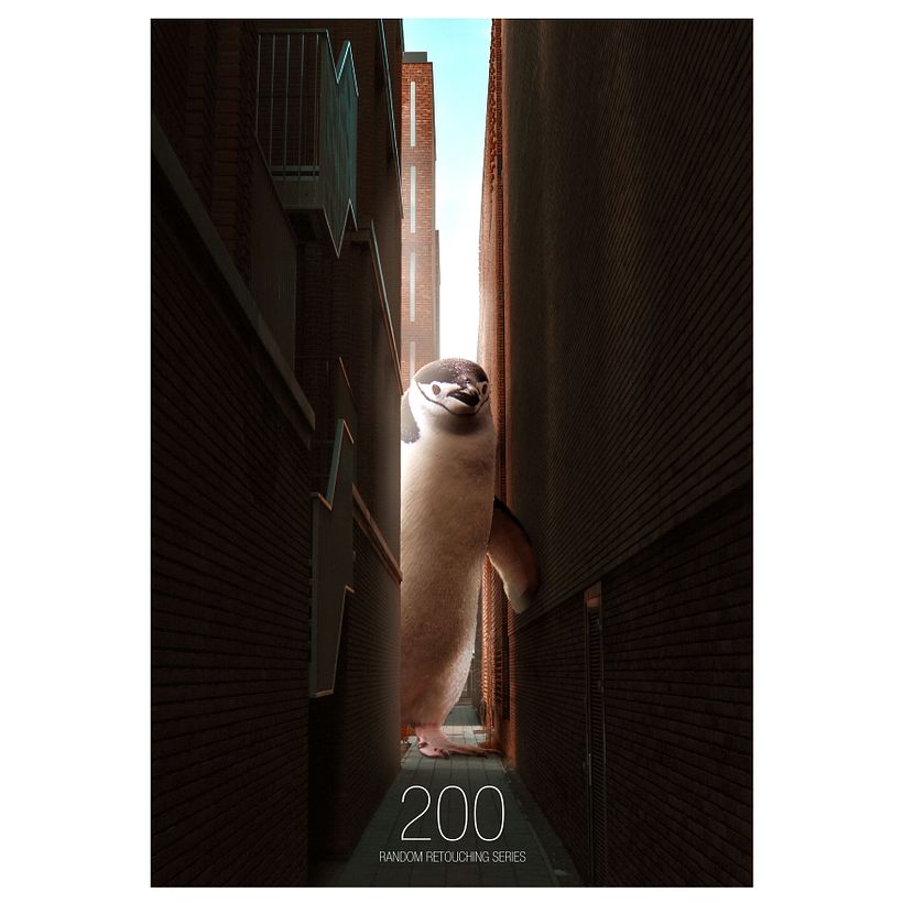 one retouching a day 196-210 3