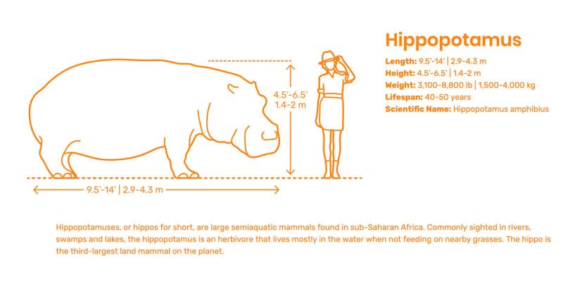 Guia de medidas e tamanhos universais para designers e arquitetos  4