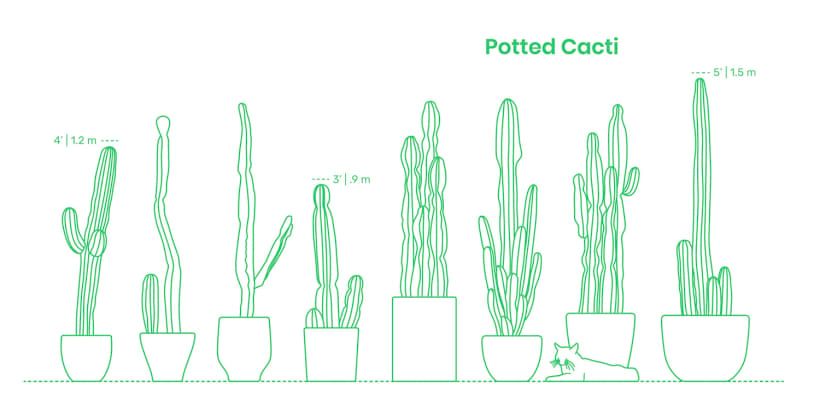 Guia de medidas e tamanhos universais para designers e arquitetos  6