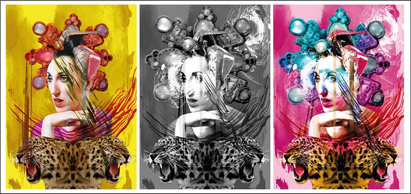 Composición, organización en escala de grises y aplicación de colores tomados del moodboard