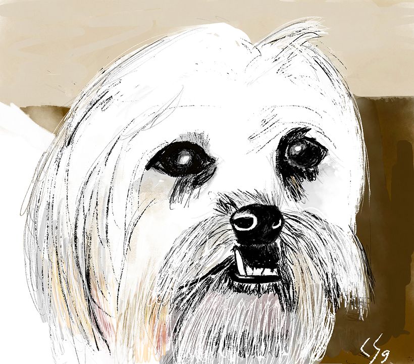 Leo, mi compañero del dibujo 0