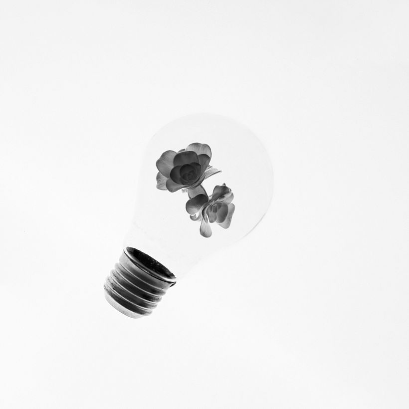 Jardín de bombillas 0