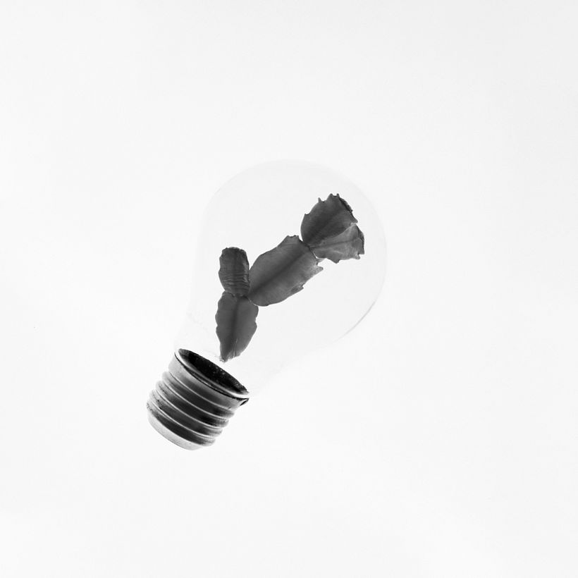 Jardín de bombillas 3