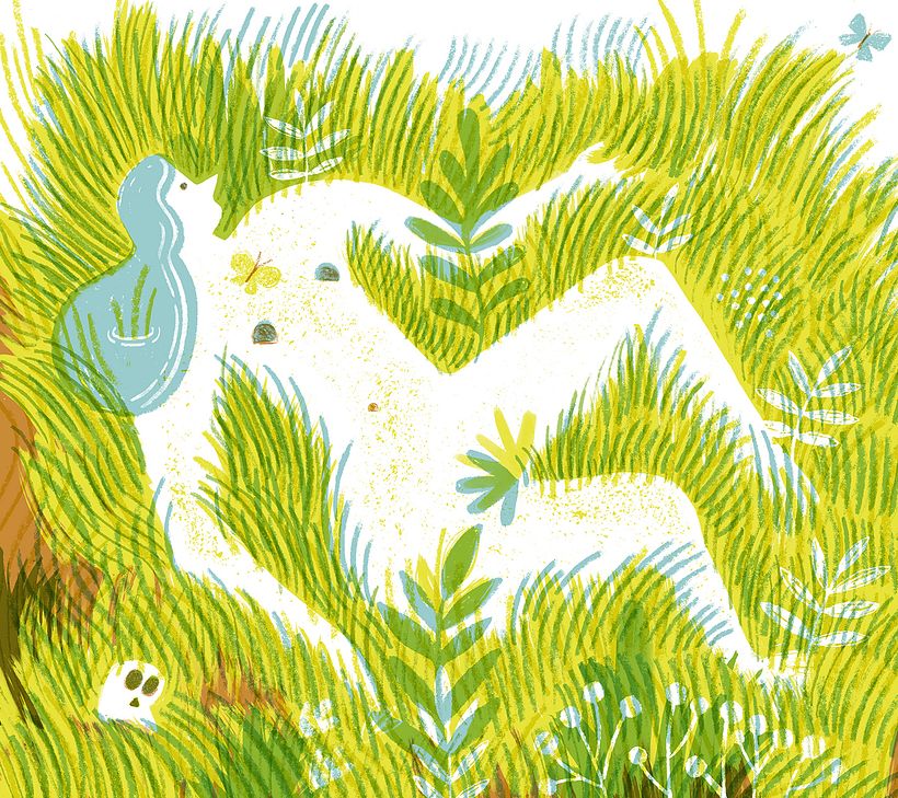 Calendario ilustrado 5