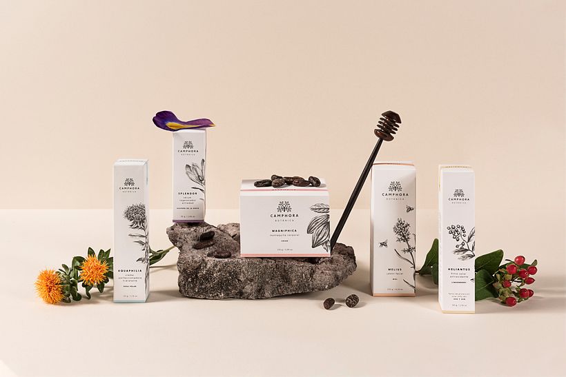 Camphora Botánica 1