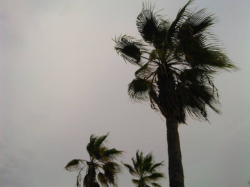 los días siempre vuelven y todo se olvida 13