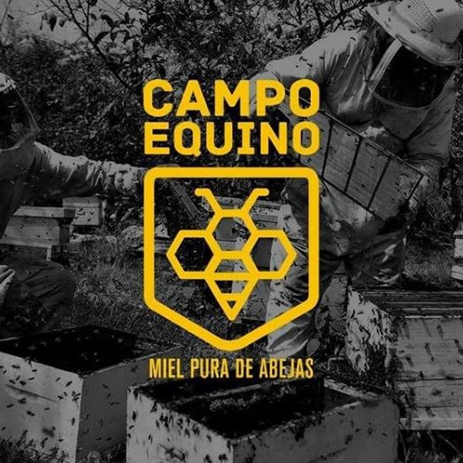 CAMPO EQUINO - miel pura de abeja - 2