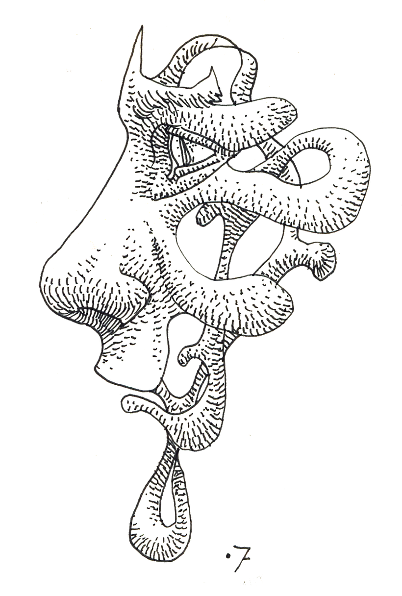 Anatomística I 0