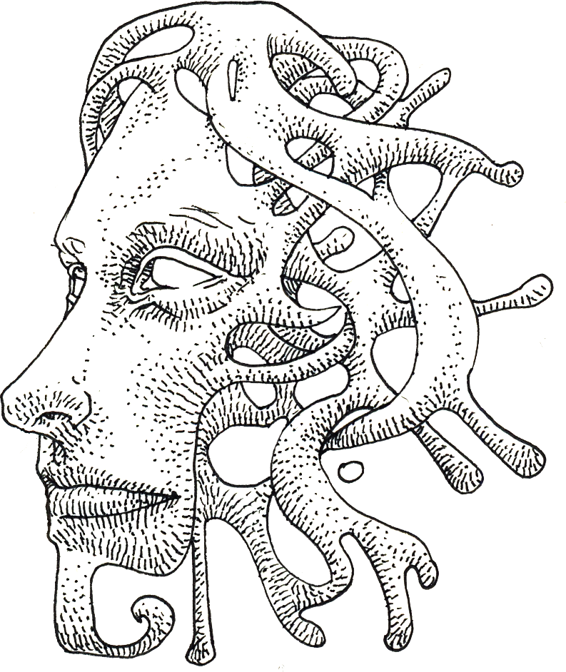 Anatomística I 2