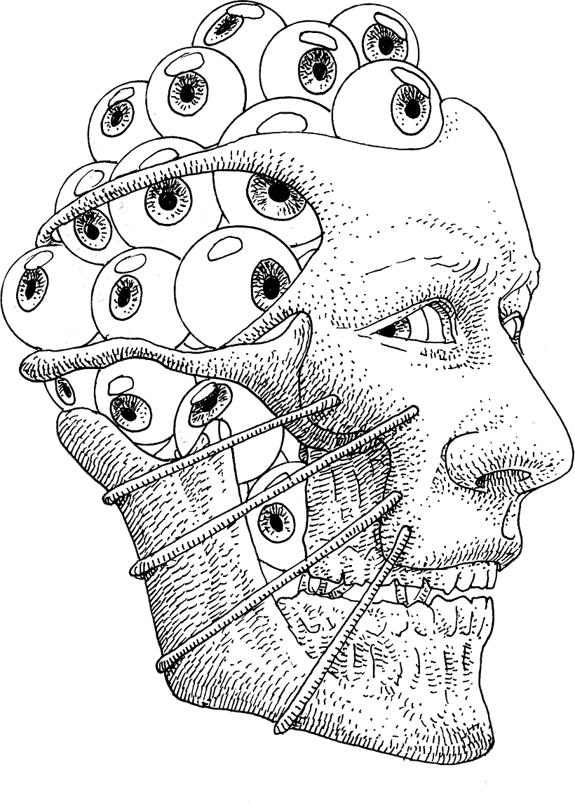 Anatomística I 5