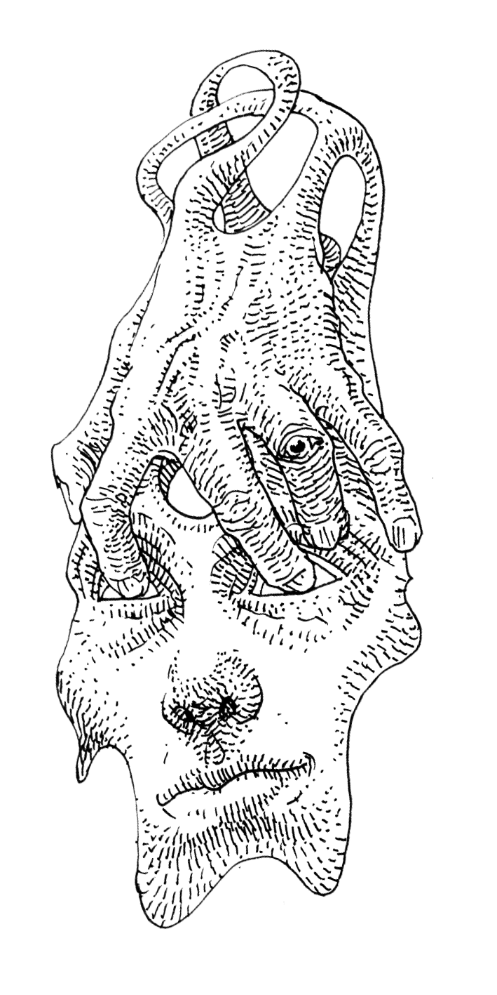 Anatomística I 11