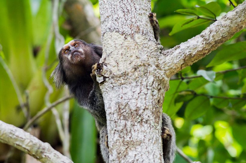 Portfolio - Fotografía 5