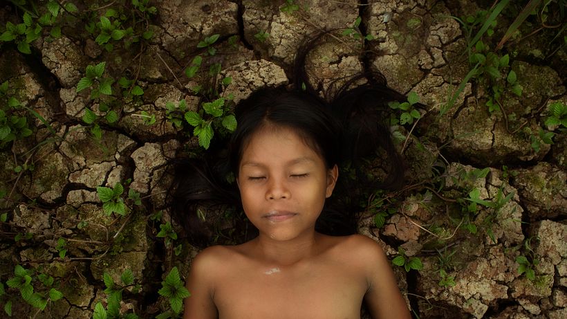 Selva 3