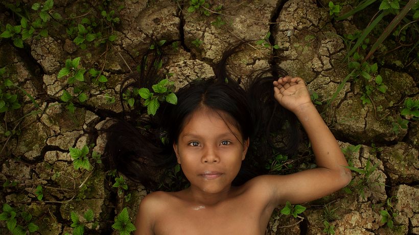 Selva 4