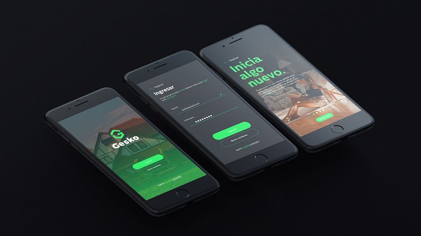 Gesko Branding 33