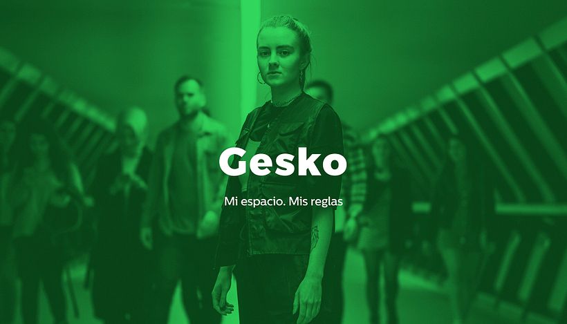 Gesko Branding 27
