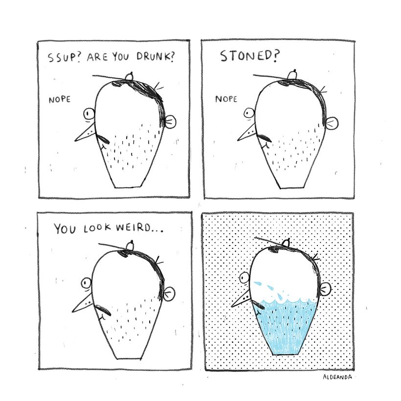 TFW -1