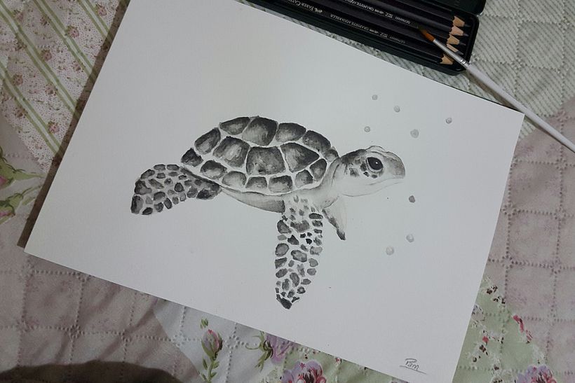 Tortuga - Grafito acuarelable