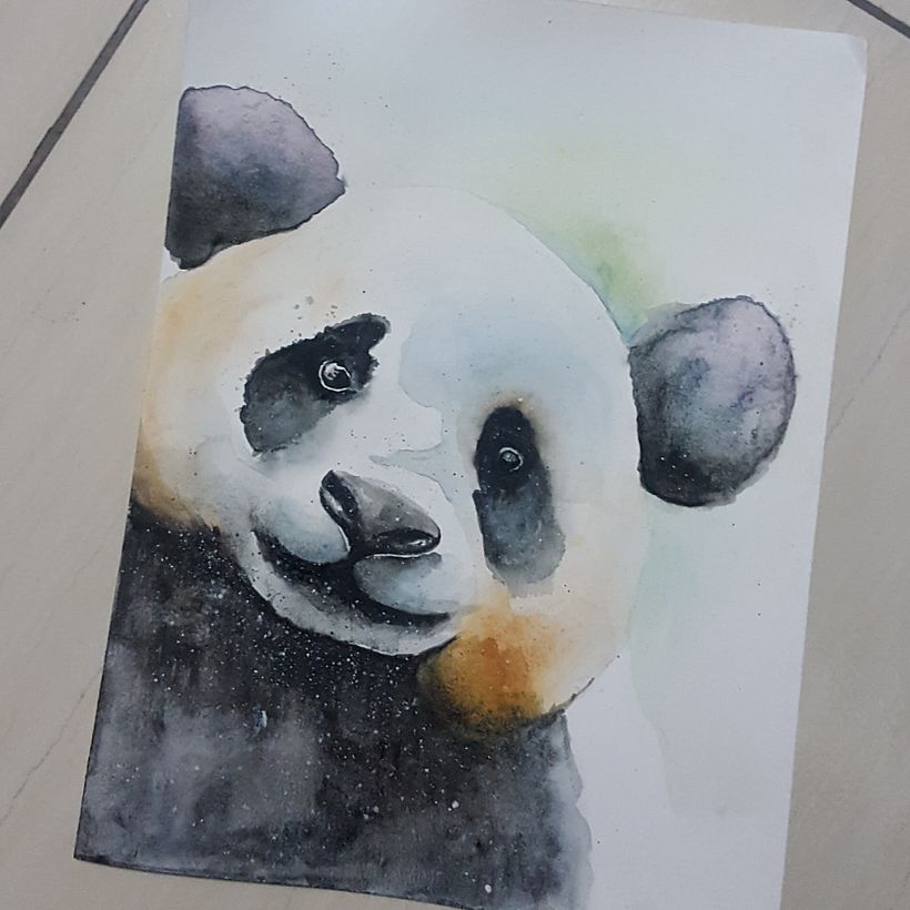 Oso Panda - Acuarela