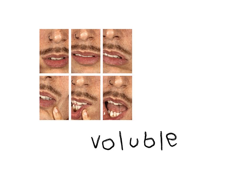 Voluble. (Jose Luis, 2019) 0