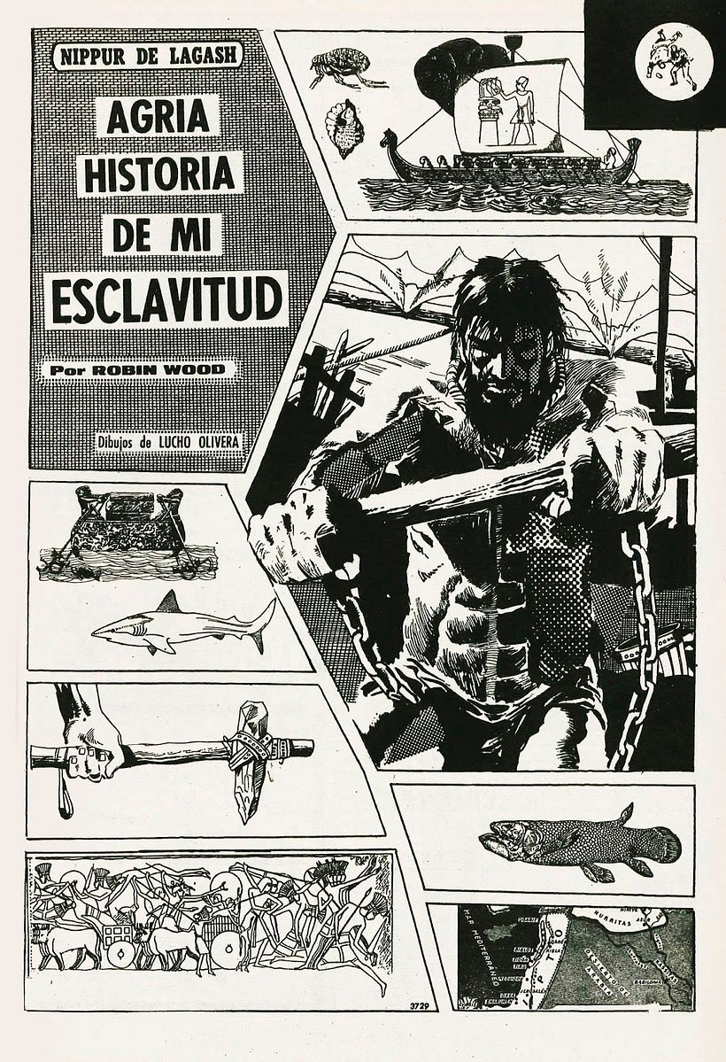 Robin Wood