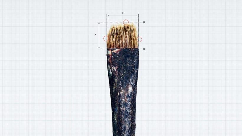 Image by Kyle T. Webster for Adobe