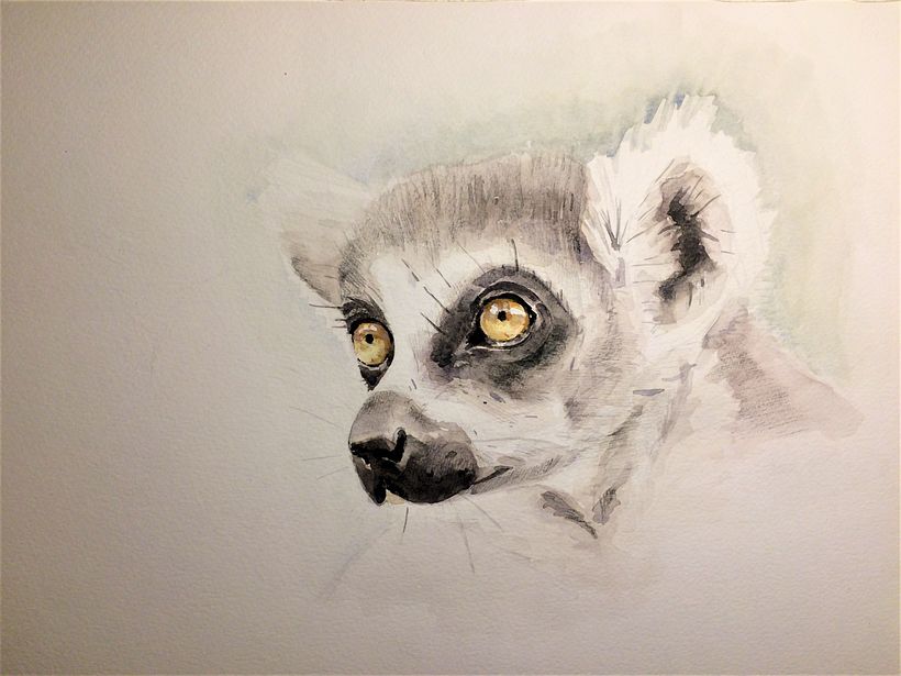 Lemur