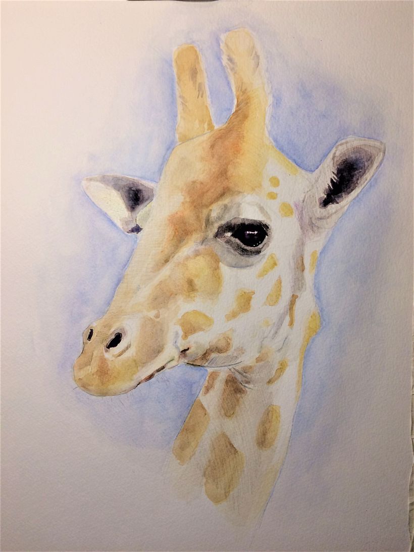 Giraffe