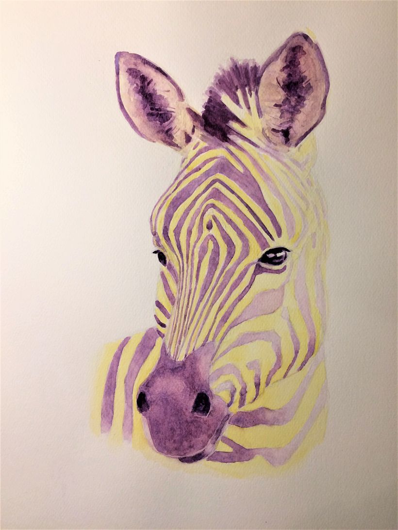 Zebra