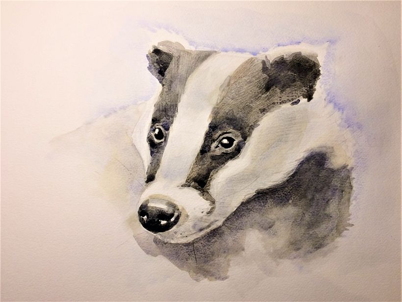 Badger