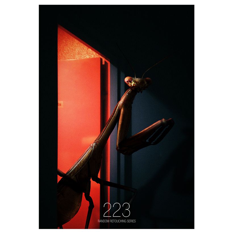 une retouche par jour 211-225 11