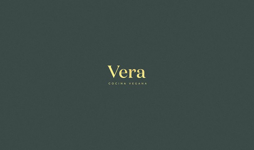 Vera Vegan Kitchen 1