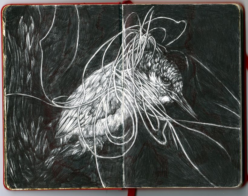 1 moleskine sketchbook + 23 bic pens 1