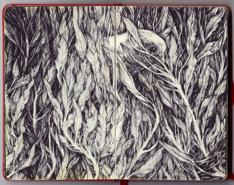 1 moleskine sketchbook + 23 bic pens 1