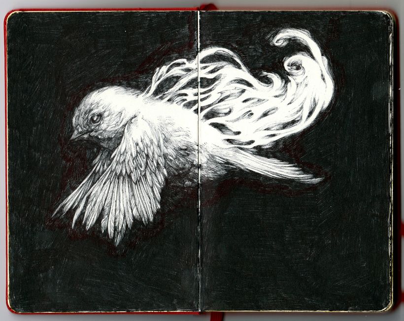 1 moleskine sketchbook + 23 bic pens 1