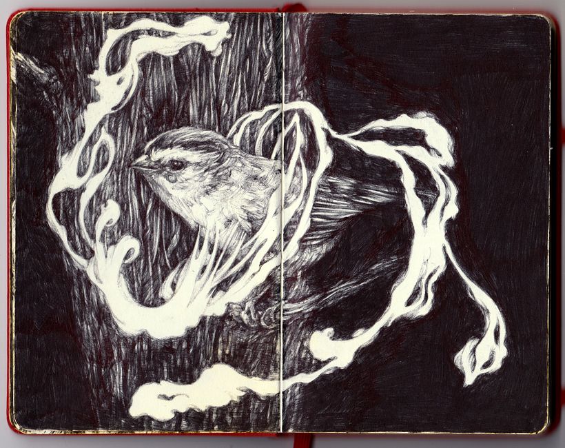 1 moleskine sketchbook + 23 bic pens 2