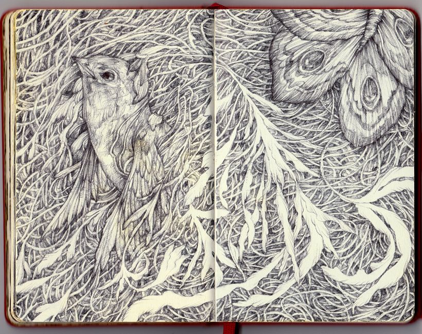 1 moleskine sketchbook + 23 bic pens 3