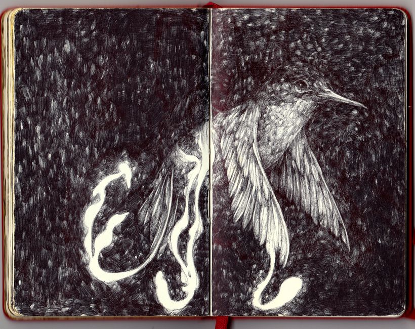 1 moleskine sketchbook + 23 bic pens 4