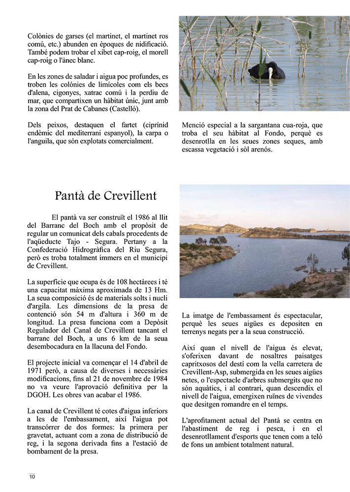 Diseño, edición y fotografía 4