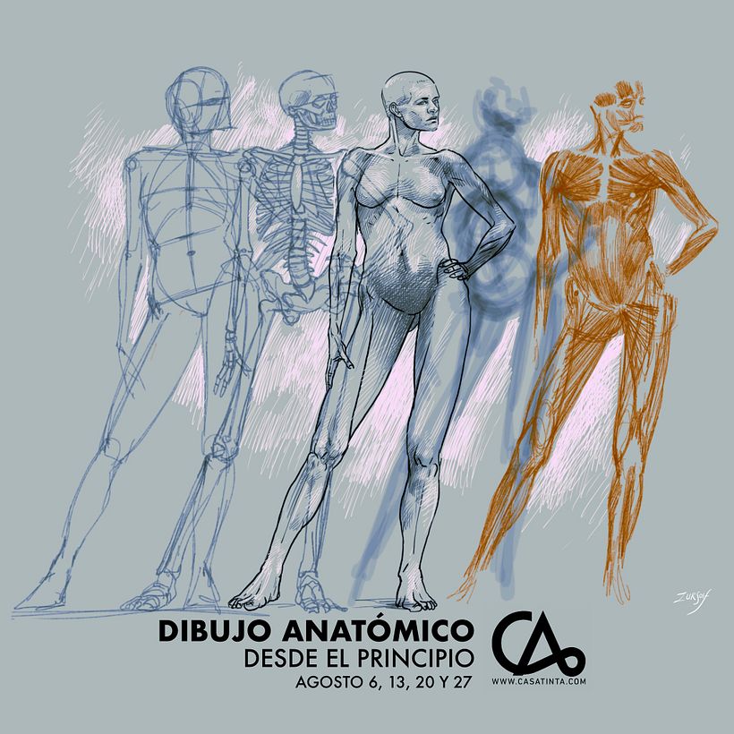 Dibujo Anatómico en Casatinta 0