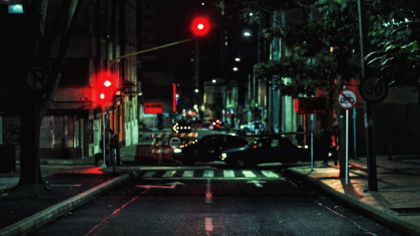 Animales nocturnos  0