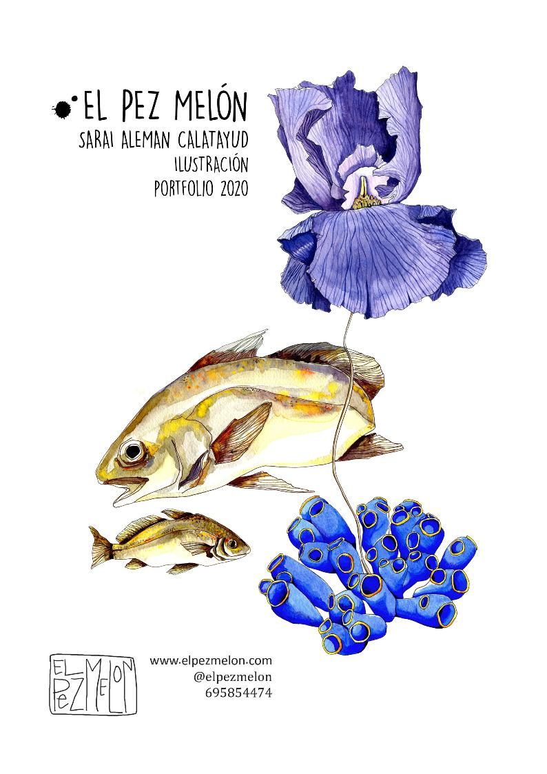 Portfolio El Pez melon 0